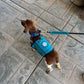 Custom Service Dog Vest