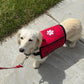 Custom Service Dog Vest